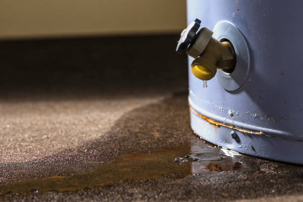 Best Commercial water damage restoration  in Winter Park, FL