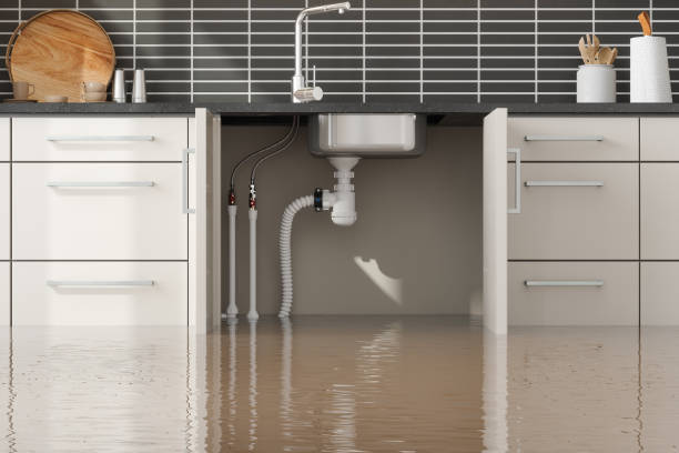 Reliable Winter Park, FL Water damage restoration Solutions